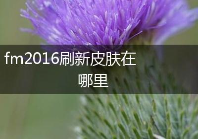 fm2016刷新皮肤在哪里