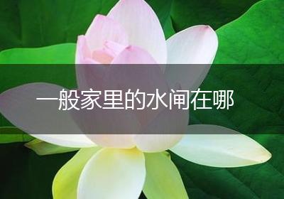一般家里的水闸在哪