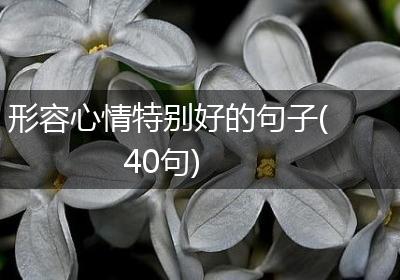 形容心情特别好的句子(40句)
