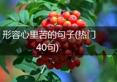 形容心里苦的句子(热门40句)