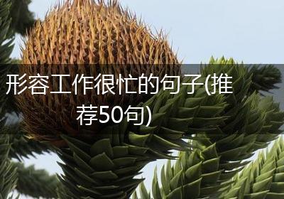 形容工作很忙的句子(推荐50句)