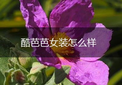 酷芭芭女装怎么样