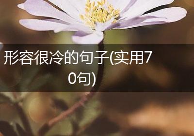 形容很冷的句子(实用70句)