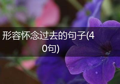 形容怀念过去的句子(40句)