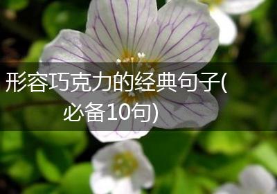形容巧克力的经典句子(必备10句)