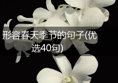 形容春天季节的句子(优选40句)
