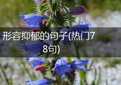 形容抑郁的句子(热门78句)