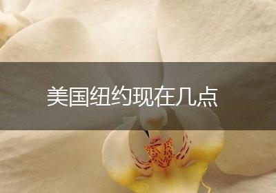 美国纽约现在几点