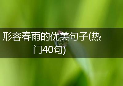 形容春雨的优美句子(热门40句)