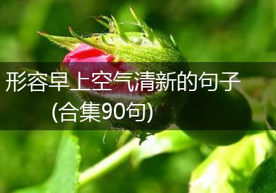 形容早上空气清新的句子(合集90句)