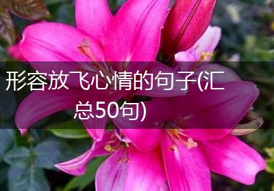 形容放飞心情的句子(汇总50句)