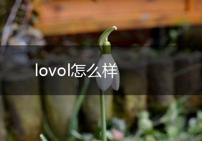 lovol怎么样