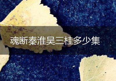 魂断秦淮吴三桂多少集