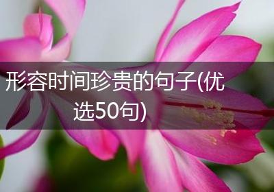 形容时间珍贵的句子(优选50句)