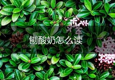 刨酸奶怎么读