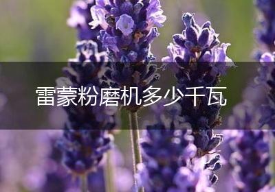 雷蒙粉磨机多少千瓦