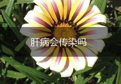 肝病会传染吗