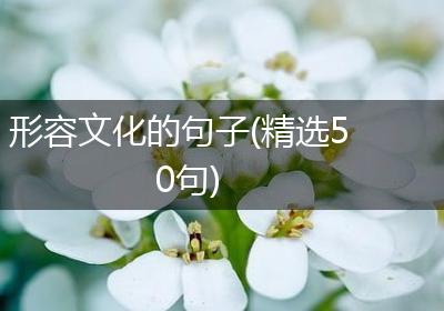 形容文化的句子(精选50句)