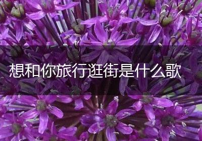 想和你旅行逛街是什么歌