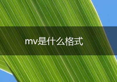 mv是什么格式