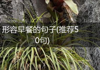 形容早餐的句子(推荐50句)