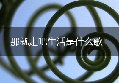 那就走吧生活是什么歌