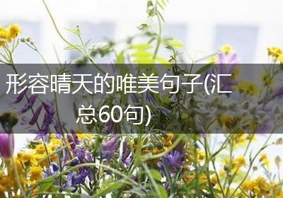 形容晴天的唯美句子(汇总60句)