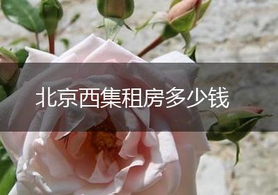 北京西集租房多少钱