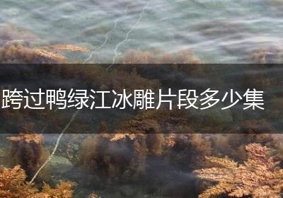 跨过鸭绿江冰雕片段多少集