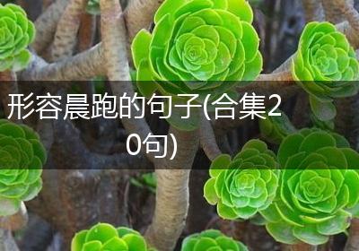 形容晨跑的句子(合集20句)