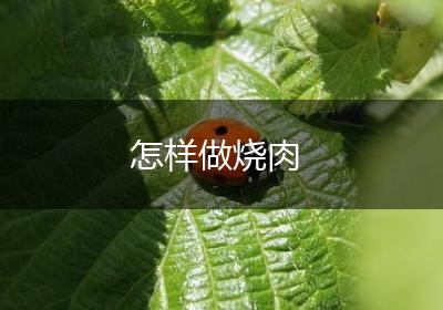 怎样做烧肉