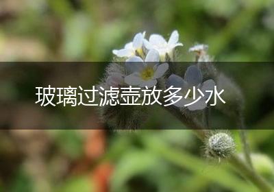 玻璃过滤壶放多少水