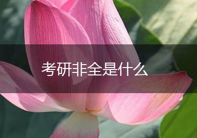 考研非全是什么