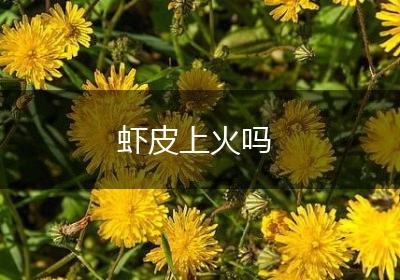 虾皮上火吗