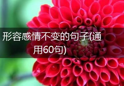 形容感情不变的句子(通用60句)