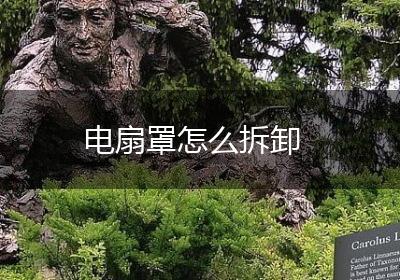 电扇罩怎么拆卸