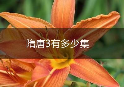 隋唐3有多少集