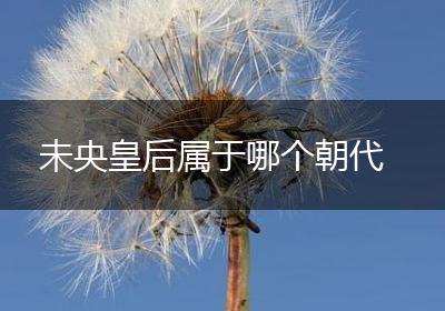 未央皇后属于哪个朝代