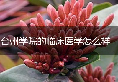 台州学院的临床医学怎么样