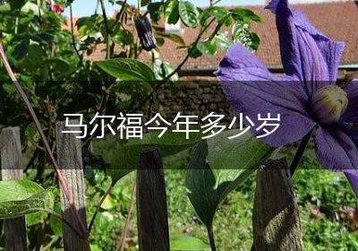 马尔福今年多少岁