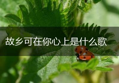 故乡可在你心上是什么歌