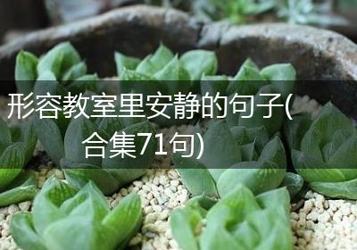 形容教室里安静的句子(合集71句)