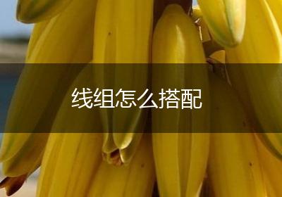线组怎么搭配