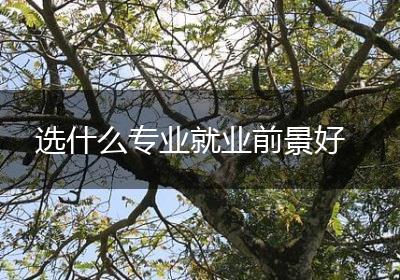 选什么专业就业前景好