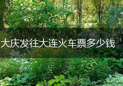 大庆发往大连火车票多少钱