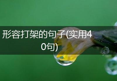 形容打架的句子(实用40句)