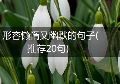 形容懒惰又幽默的句子(推荐20句)