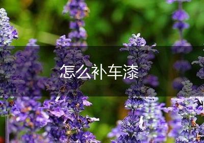 怎么补车漆