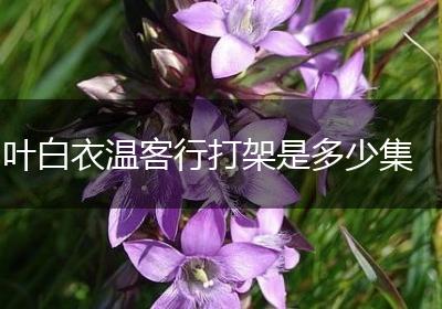 叶白衣温客行打架是多少集