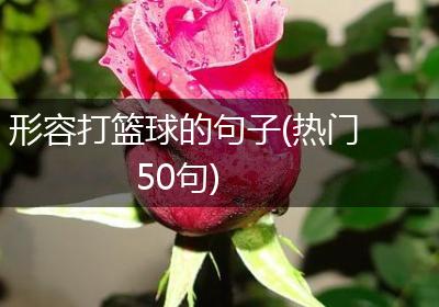 形容打篮球的句子(热门50句)